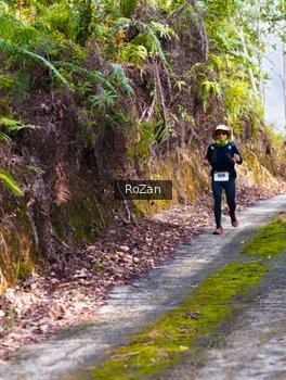 Runner Photo 2497839