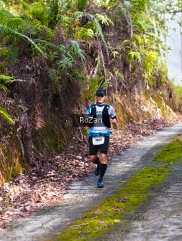 Runner Photo 2497842