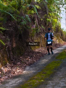 Runner Photo 2497843