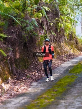 Runner Photo 2497846
