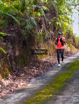 Runner Photo 2497847