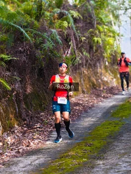 Runner Photo 2497848