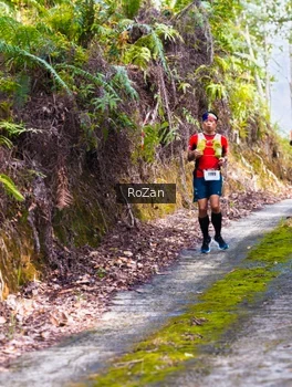 Runner Photo 2497849
