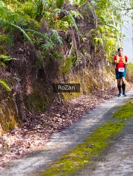 Runner Photo 2497850