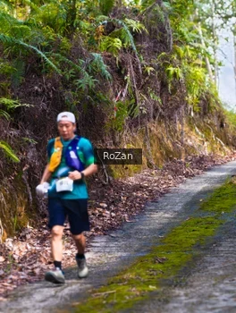 Runner Photo 2497851