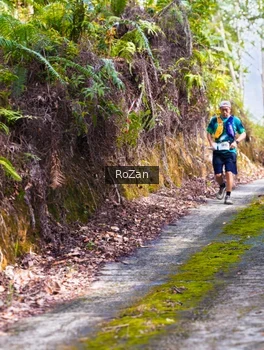 Runner Photo 2497853