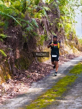 Runner Photo 2497863