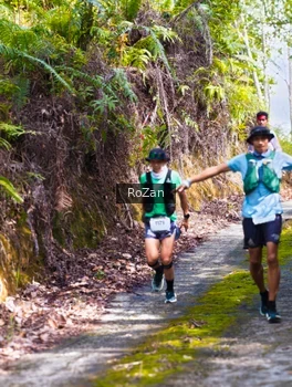 Runner Photo 2497882