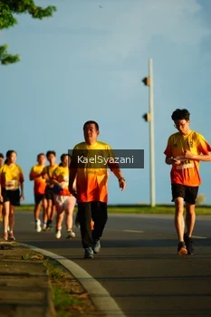 Runner Photo 2498773