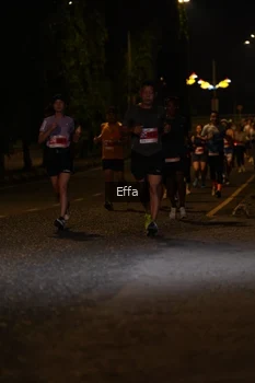 Runner Photo 2504949