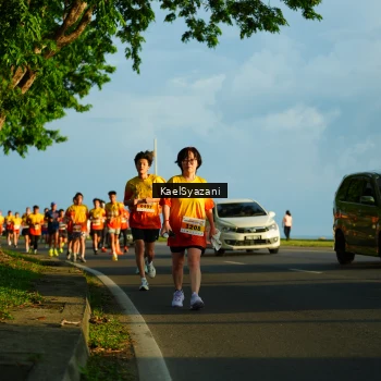 Runner Photo 2510156