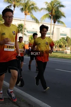 Runner Photo 2511546