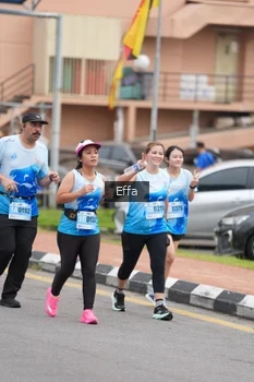 Runner Photo 2516393