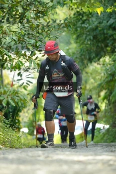 Runner Photo 2517678