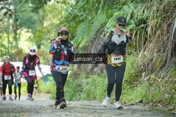 Runner Photo 2517692