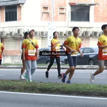 Runner Photo 2521777