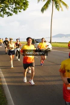 Runner Photo 2522260