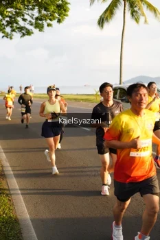 Runner Photo 2522275