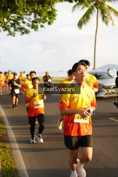 Runner Photo 2522346