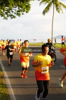Runner Photo 2522383