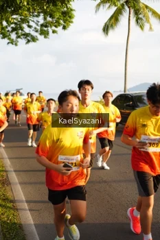 Runner Photo 2522441