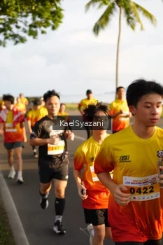 Runner Photo 2522577
