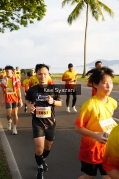 Runner Photo 2522590