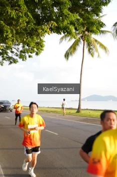 Runner Photo 2523132