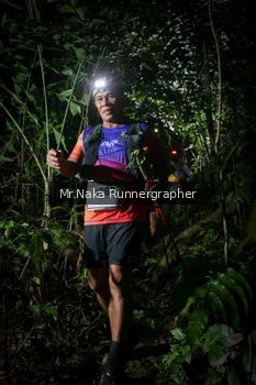 Runner Photo 2523870