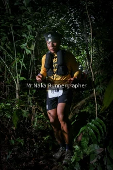 Runner Photo 2524166