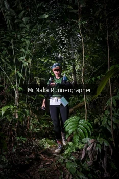 Runner Photo 2527166