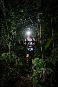 Runner Photo 2527752