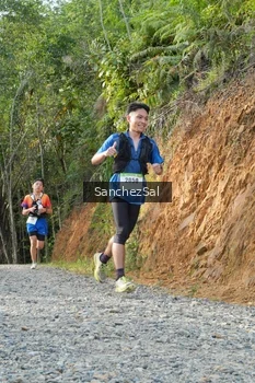 Runner Photo 2529590