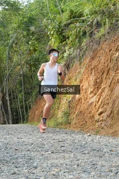 Runner Photo 2529650