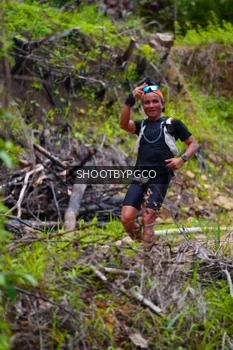 Runner Photo 2529660