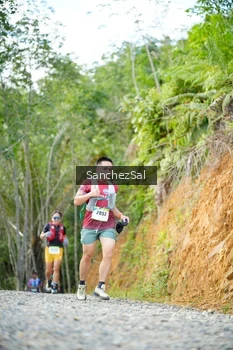 Runner Photo 2529683