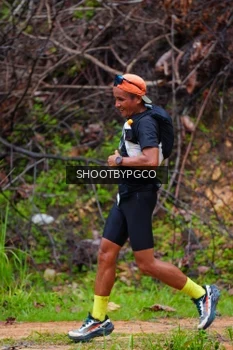 Runner Photo 2529691
