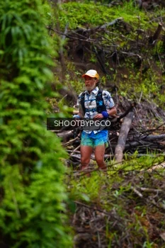 Runner Photo 2529697