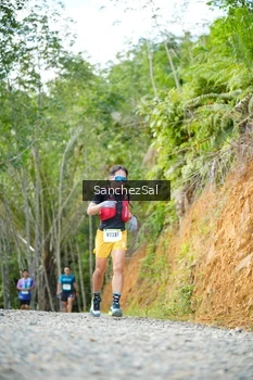 Runner Photo 2529705