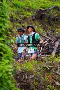 Runner Photo 2529773