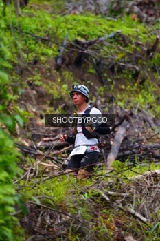 Runner Photo 2529835