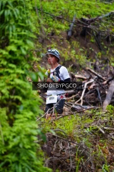 Runner Photo 2529851