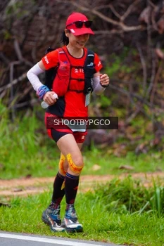 Runner Photo 2529884