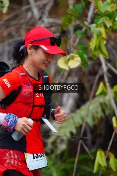 Runner Photo 2529904