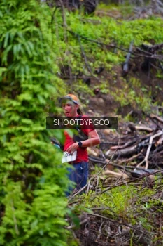 Runner Photo 2529942
