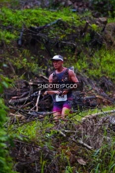 Runner Photo 2530430
