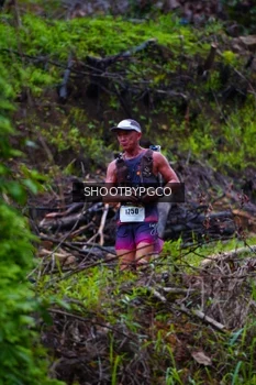 Runner Photo 2530445