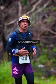 Runner Photo 2530455