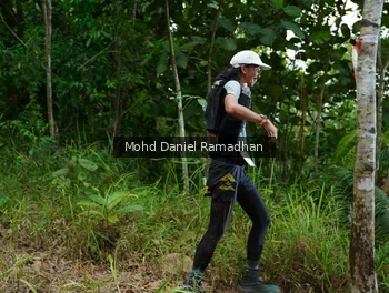 Runner Photo 2530494