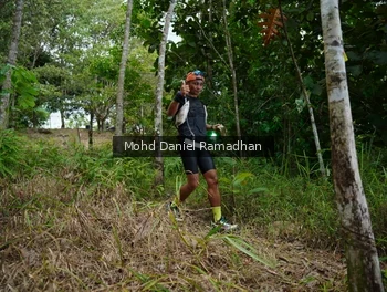 Runner Photo 2530508